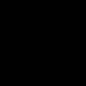 Meet your Posher, Sidney